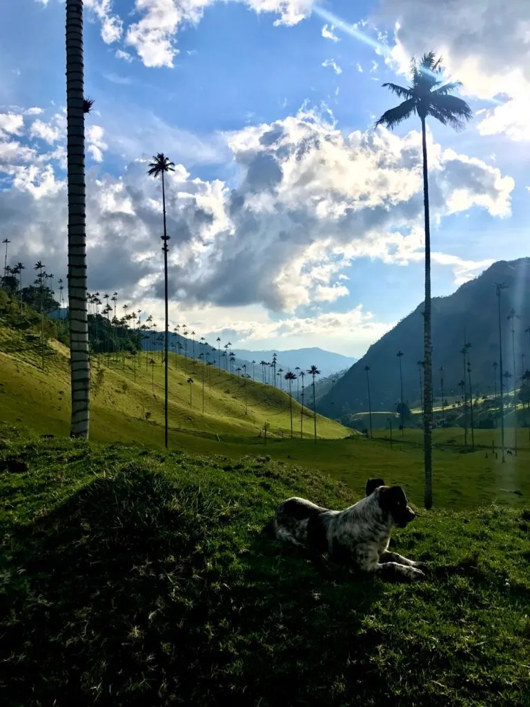 vallee-de-cocora