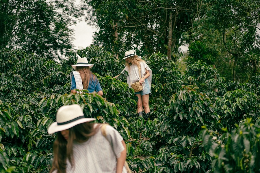 visite-de-la-region-du-cafe-en-colombie