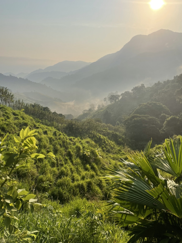 voyage-a-la-ciudada-perdida-colombie