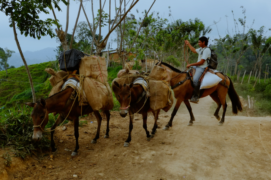 voyage-vers-la-ville-perdue-colombie