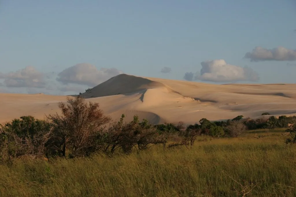 Montagnes-Chimanimani