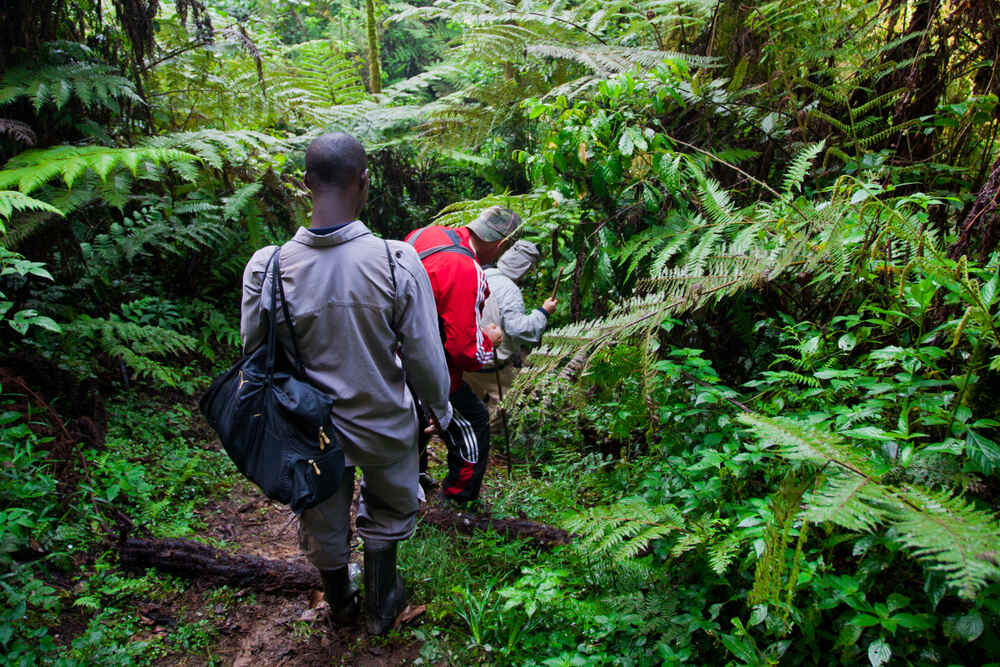 Conseils pour l'organisation d'un voyage de groupe en Ouganda