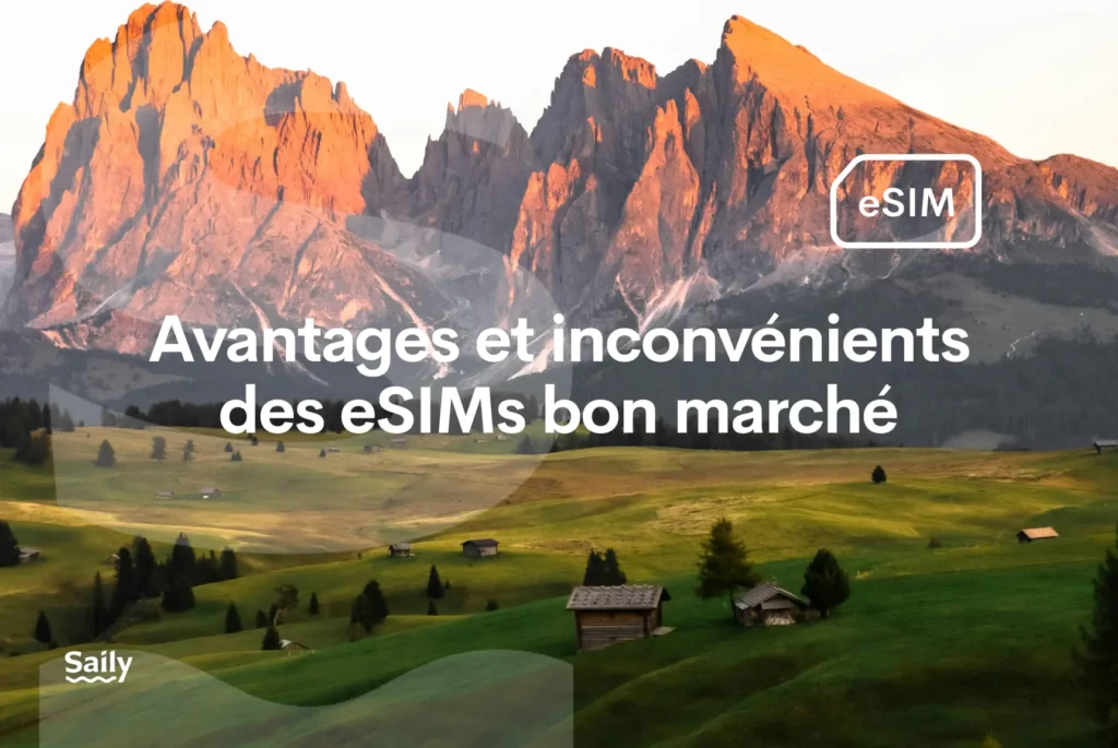 avantages inconvénients esims économiques