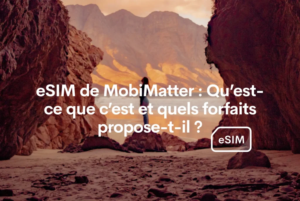 mobimatter vs holafly