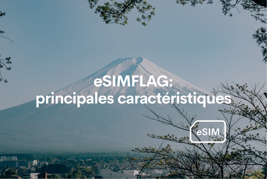 fonctions principales esimflag