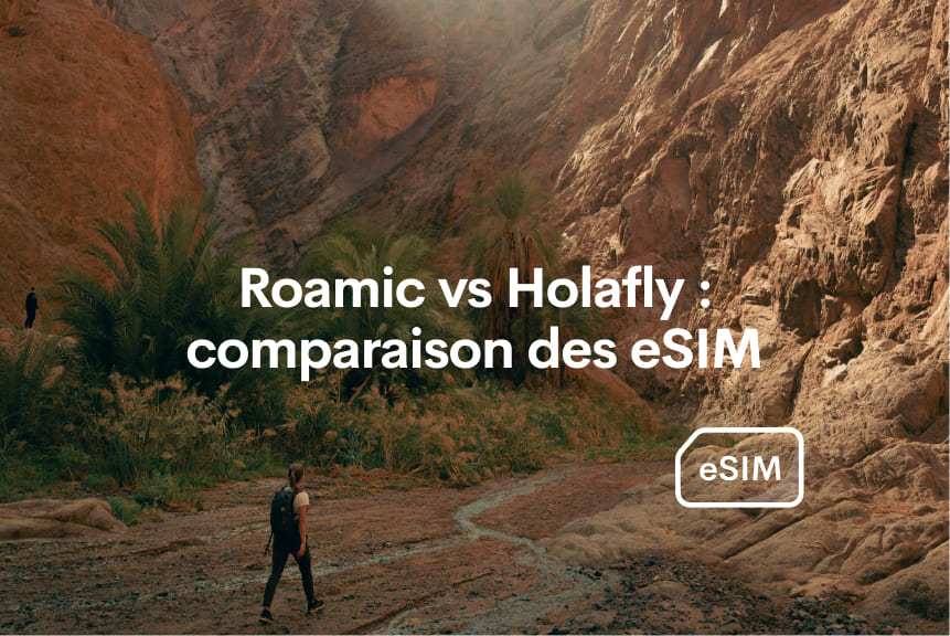 roamic contre holafly esim