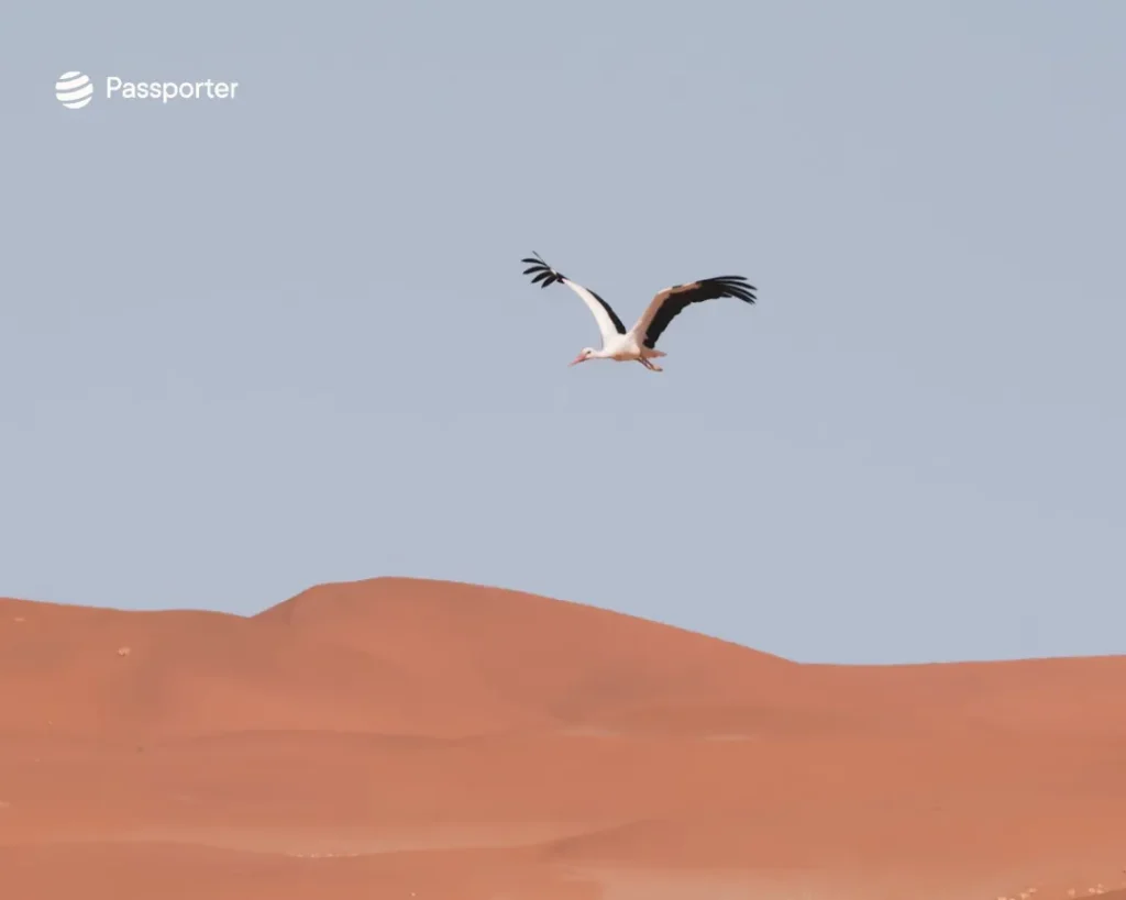 conseils visiter deadvlei