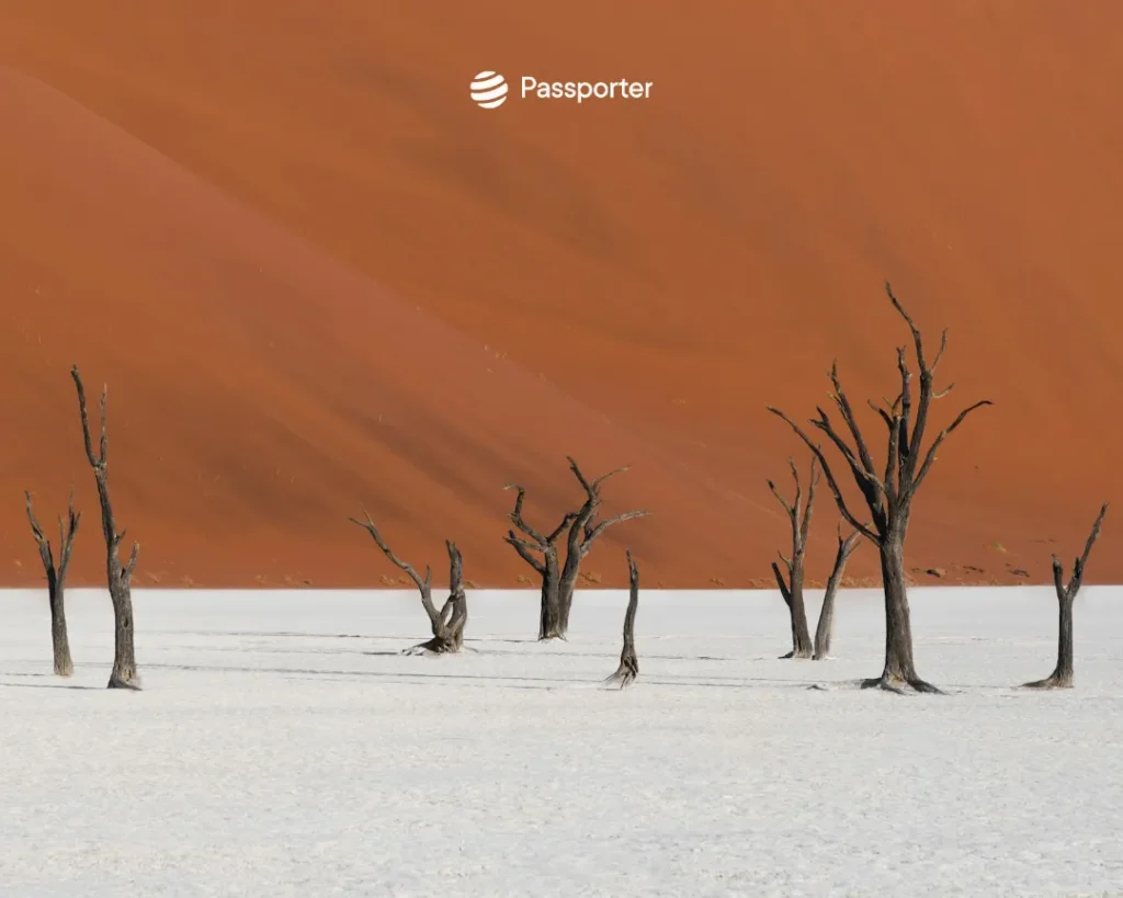 deadvlei desert namib
