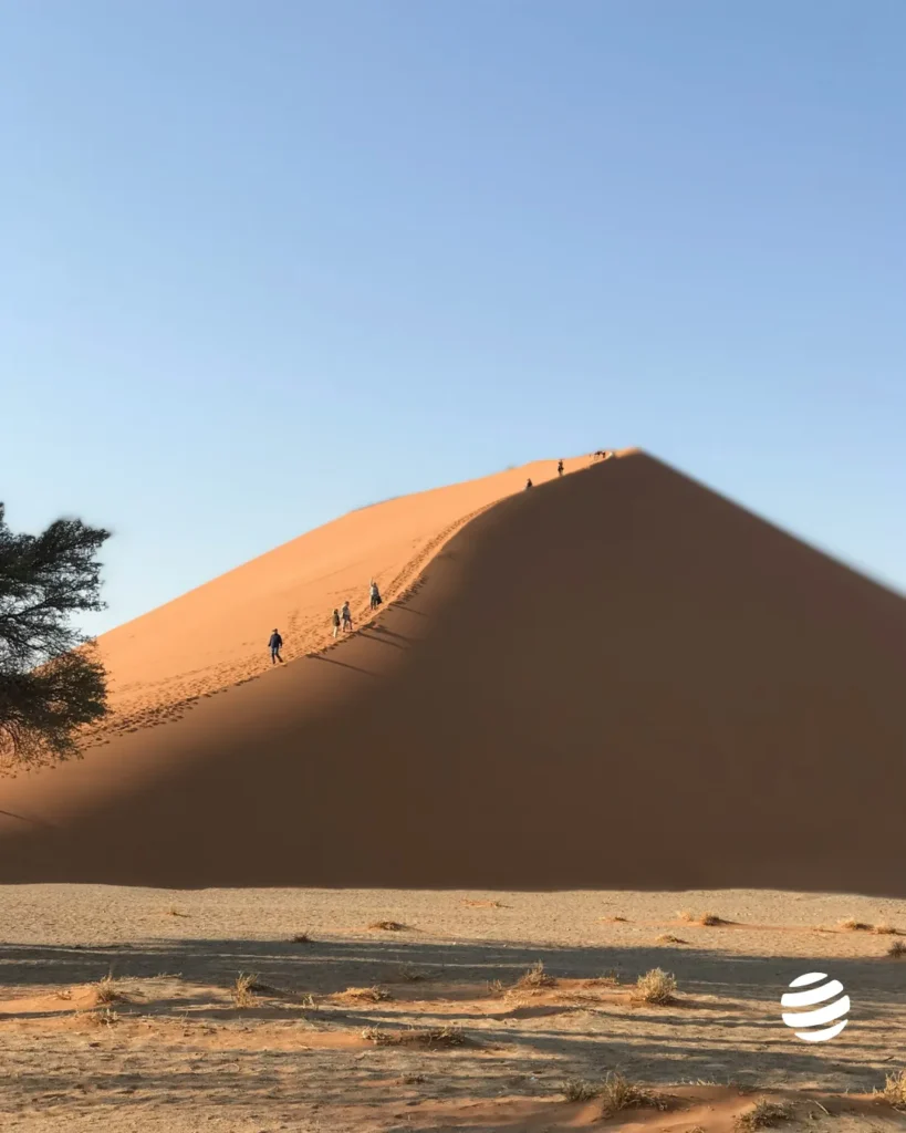 desert namib comment y arriver