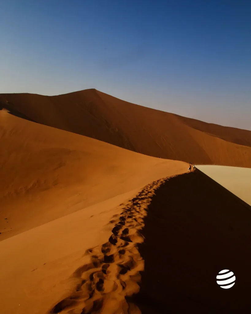 desert namib