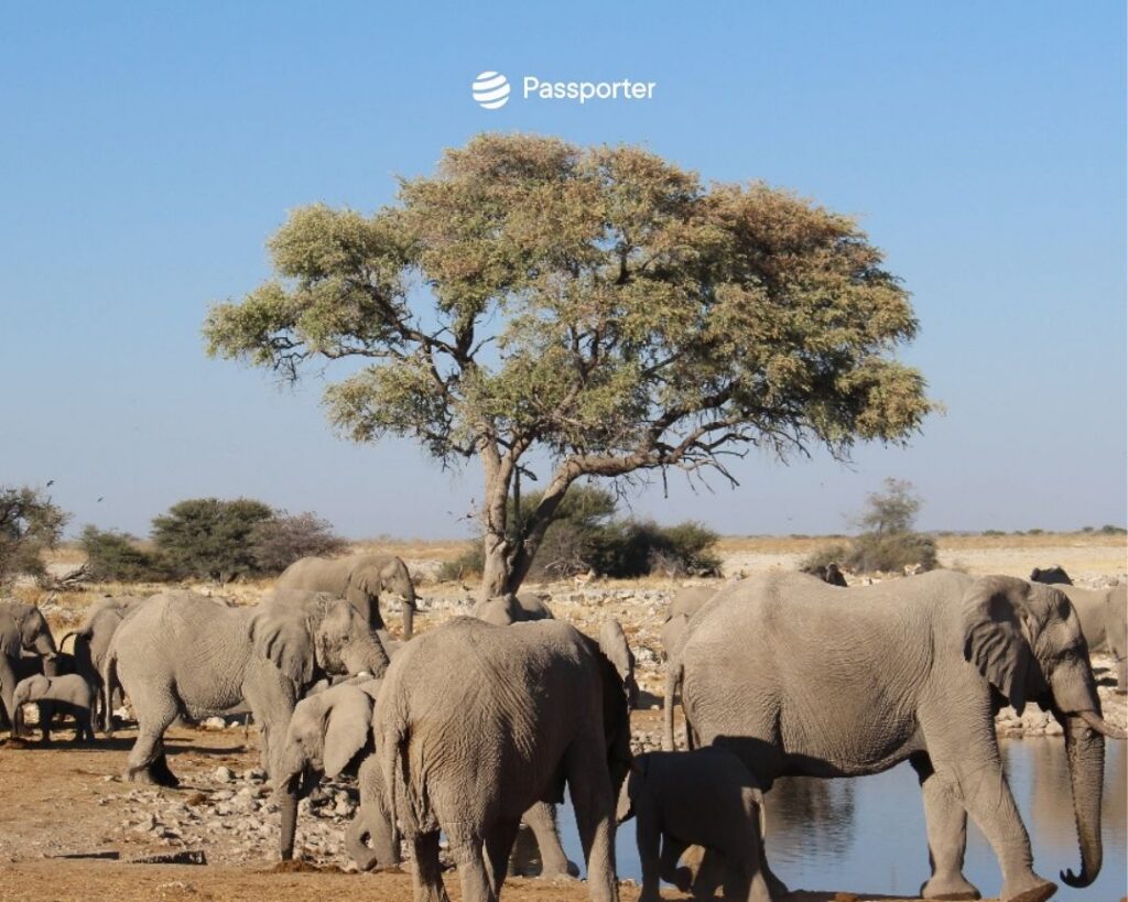 localisation parc etosha namibie