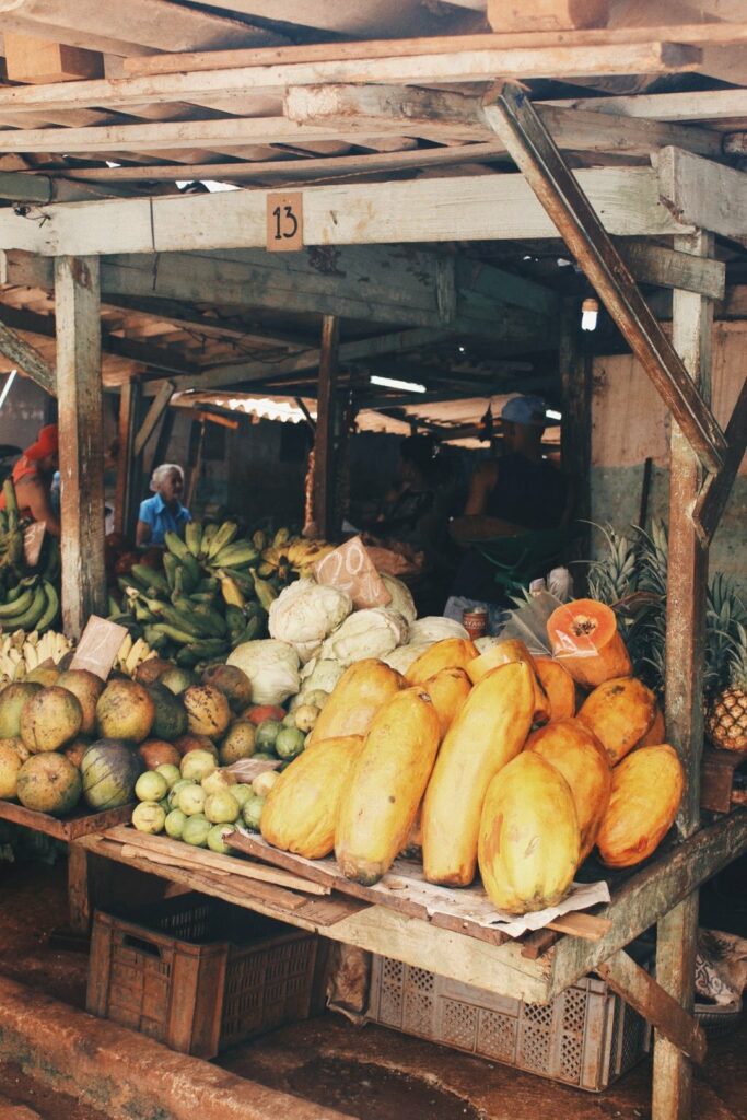 O que fazer em Havana