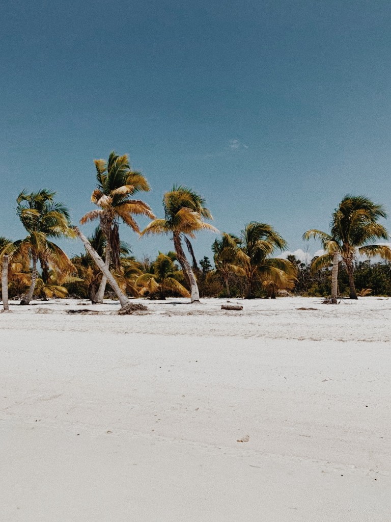 O que fazer em Varadero