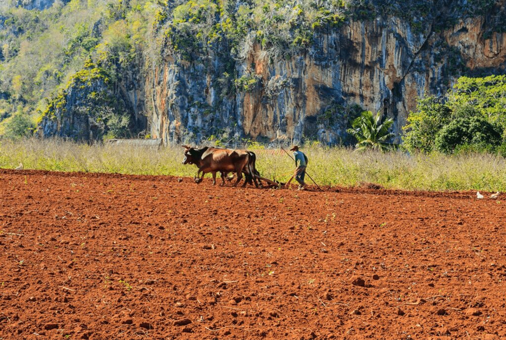 O que fazer em Viñales	