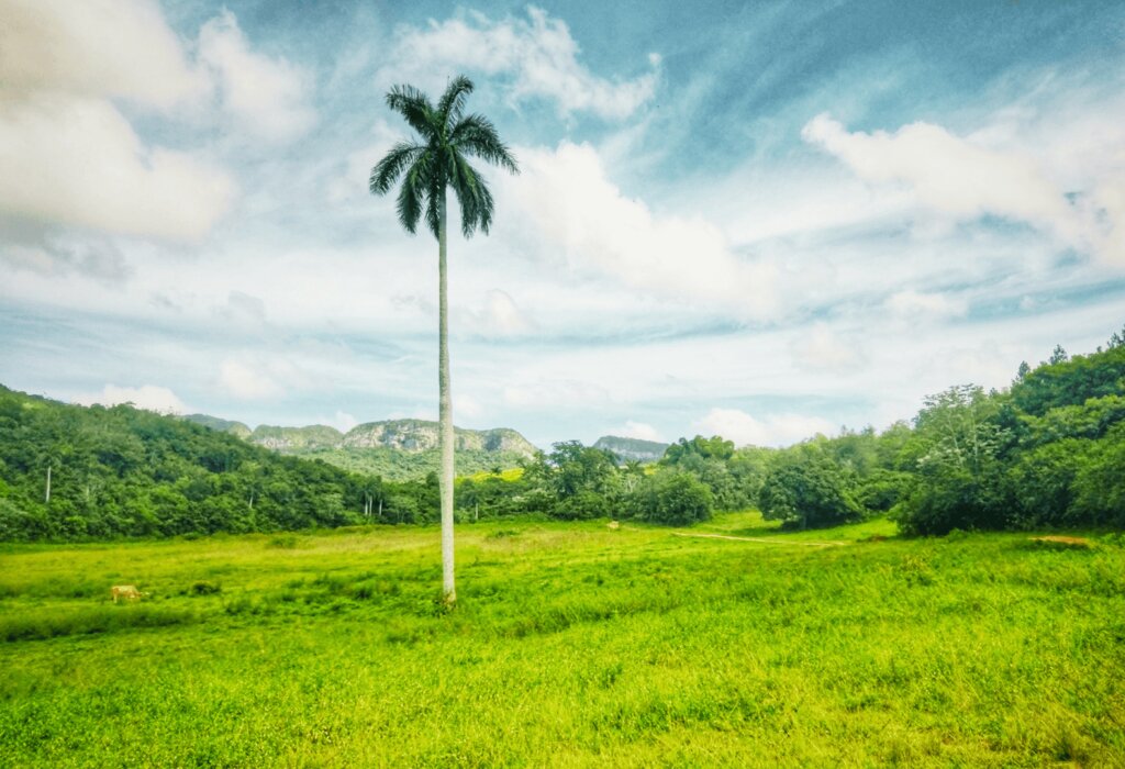 O que fazer em Viñales	