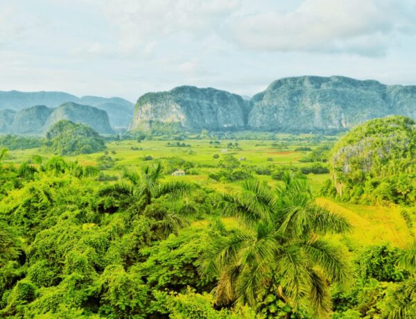 O que fazer em Viñales