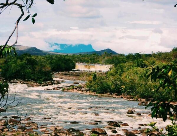 O que fazer Parque el Canaima