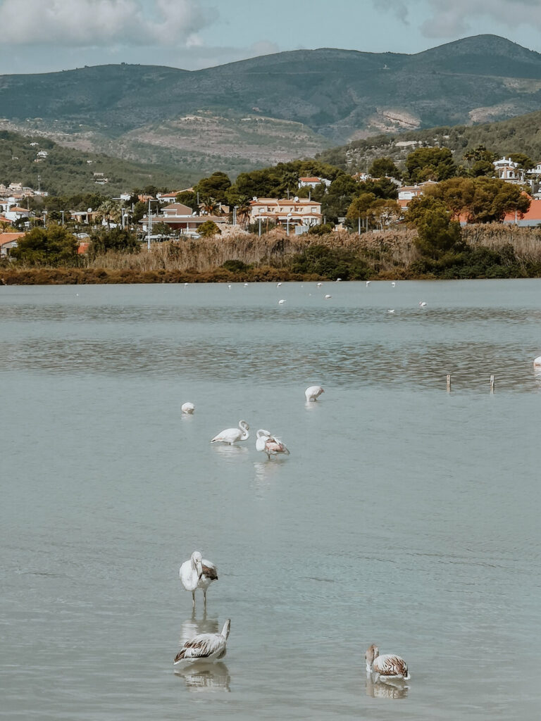 Las Salinas, Calpe