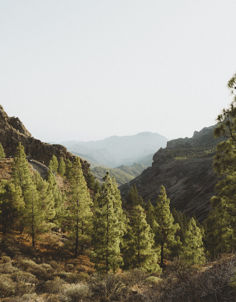 Roque Nublo 