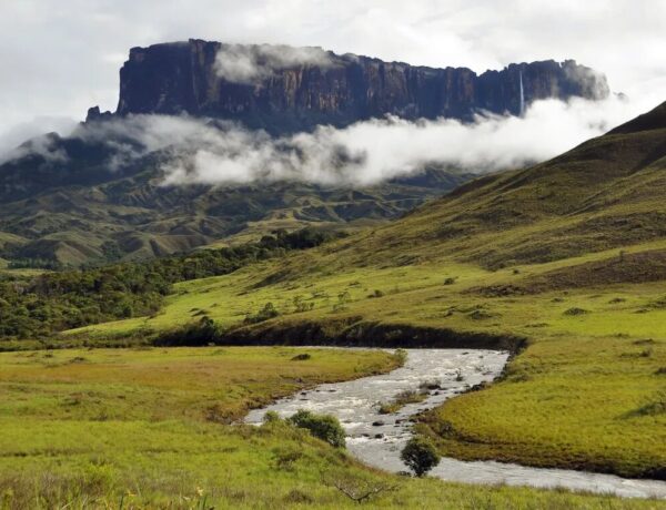 o que ver em Roraima