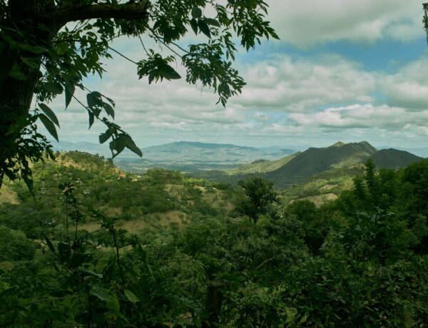 O que ver em Matagalpa