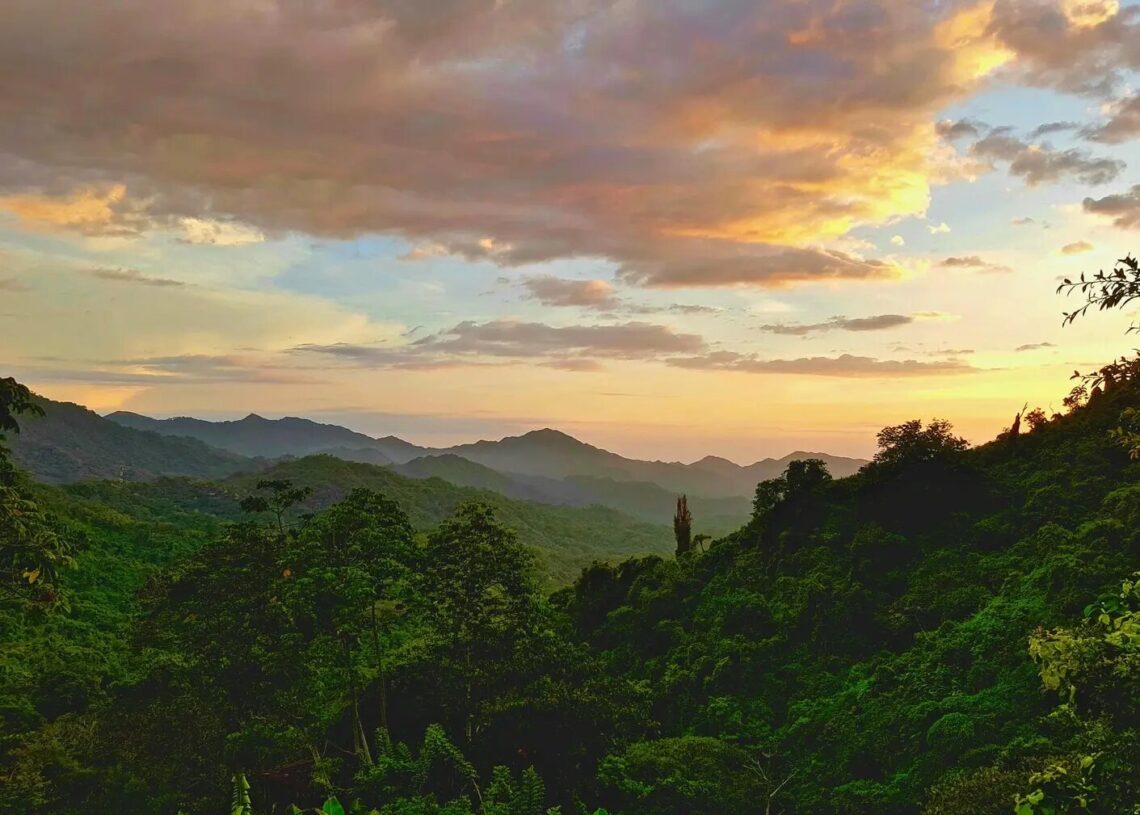 O que fazer na Ilha Gorgona