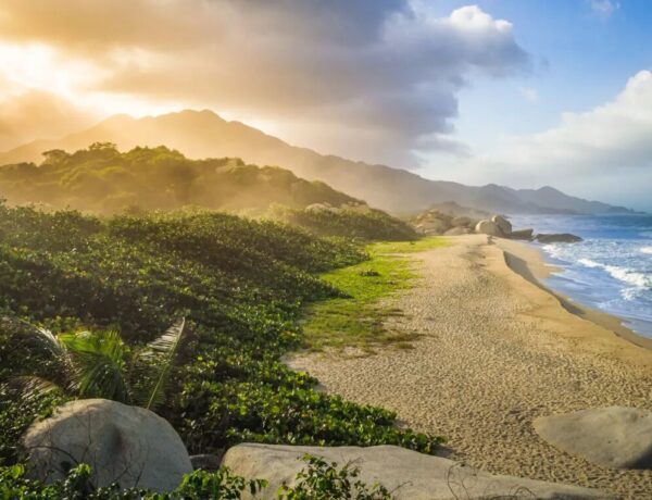 planejar uma viagem ao Parque Tayrona