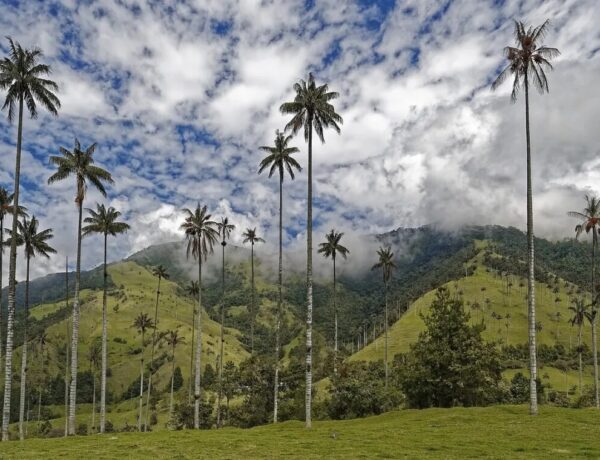 planejar uma viagem ao Vale de Cocora